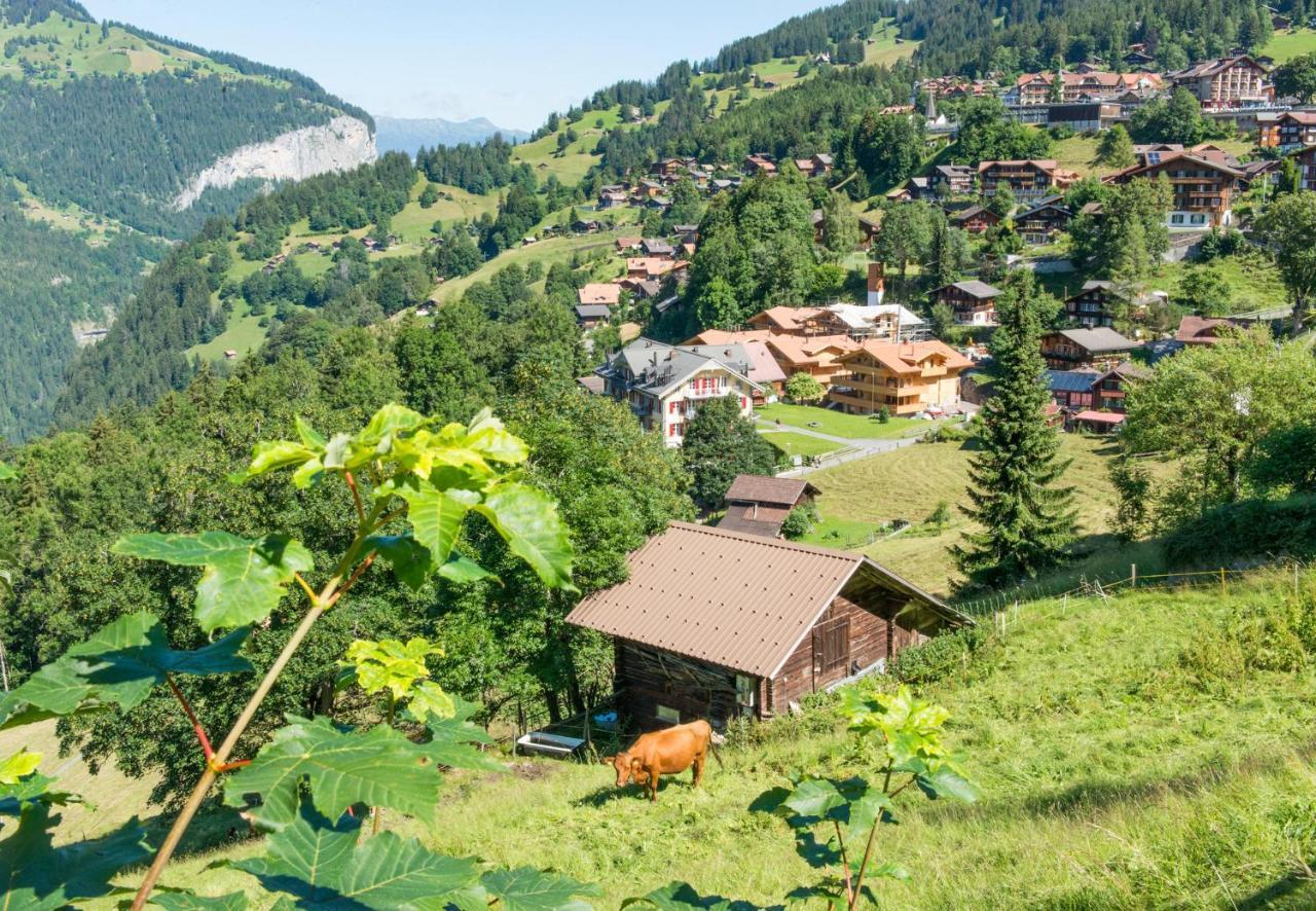 Panoramapark Soleil Chalet C Wengen Zewnętrze zdjęcie