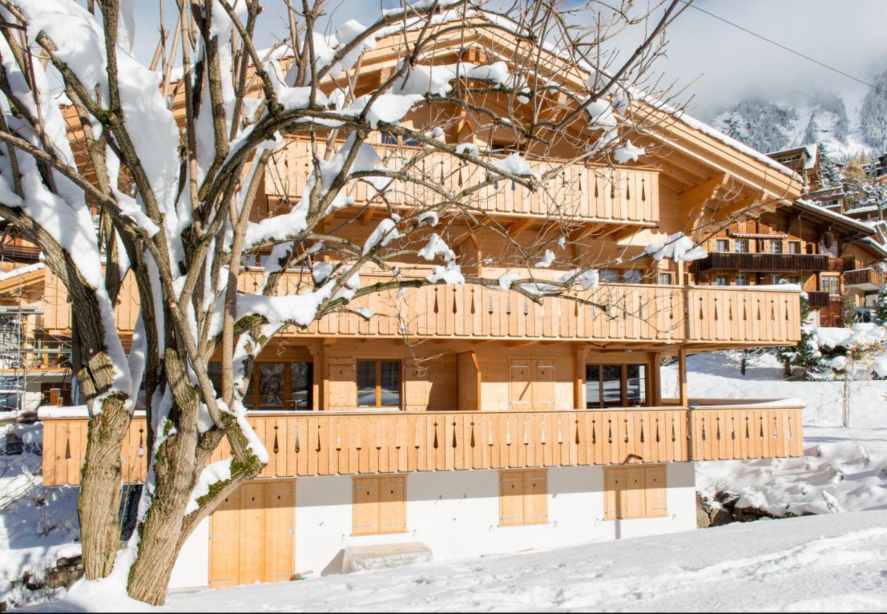 Panoramapark Soleil Chalet C Wengen Zewnętrze zdjęcie