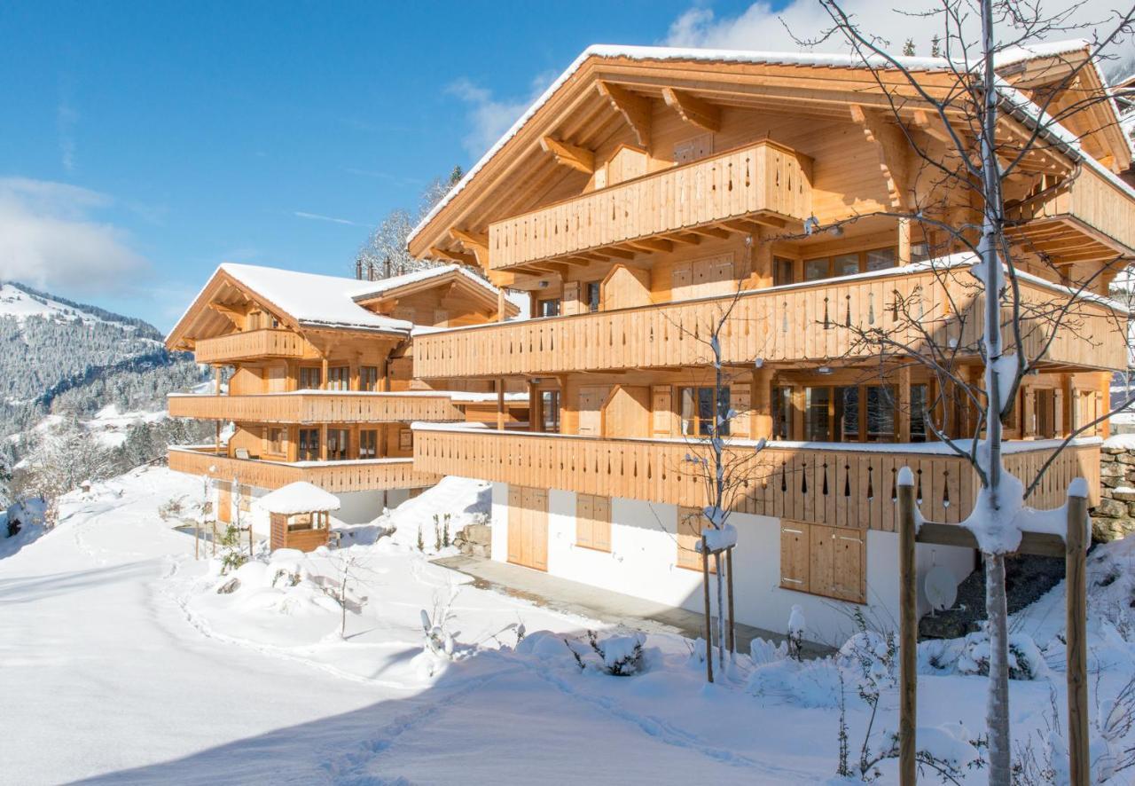 Panoramapark Soleil Chalet C Wengen Zewnętrze zdjęcie